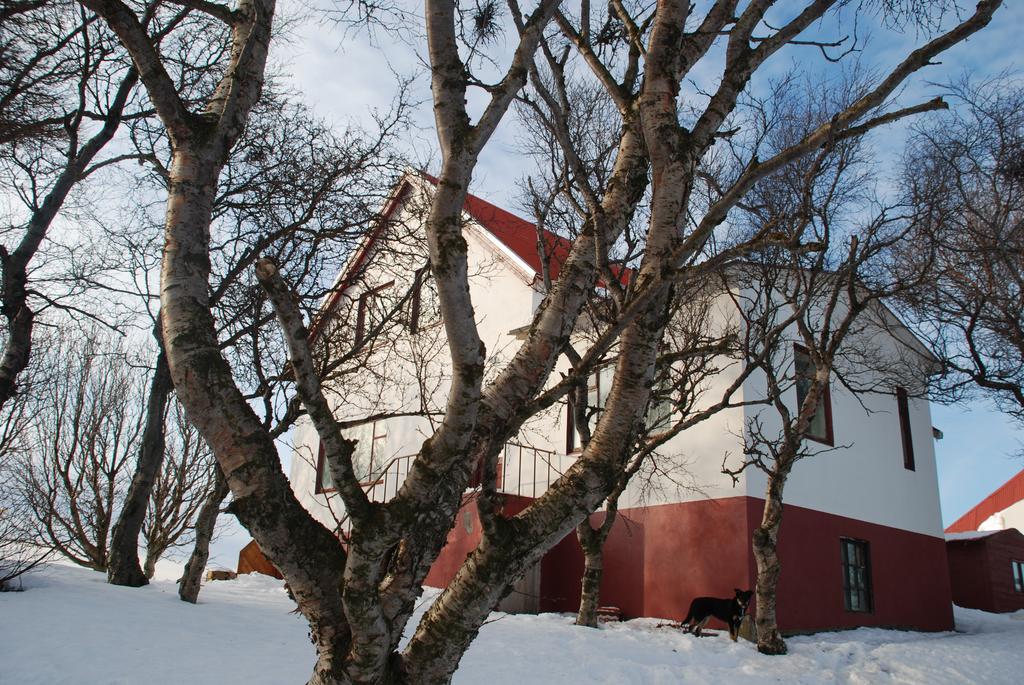 Helluland Guesthouse Saudarkrokur ภายนอก รูปภาพ
